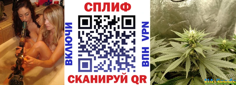 где продают наркотики  Северская  Конопля марихуана 